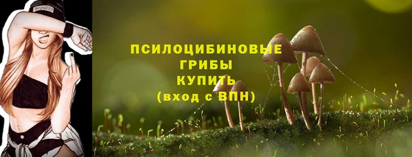 прущая мука Абдулино