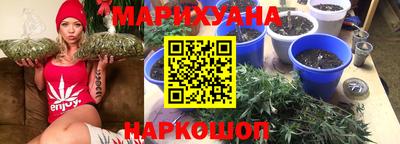 сатива Сибай