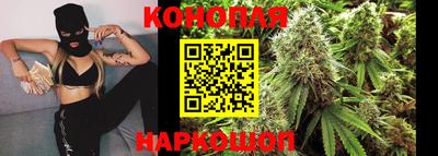 гидра Сосновый Бор