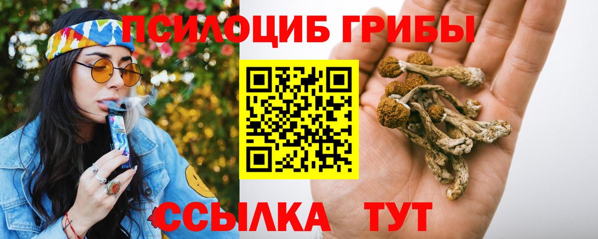 Псилоцибиновые грибы мицелий  Вход с VPN  Александров 